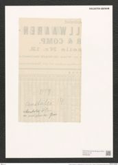 Frustulia rhomboides var. amphipleuroides Grun. (de-Toni-Nr.: Genus 19, Species 1159) Zeichnungen Sammlung Grunow (NHMW-BOT-W0369368)